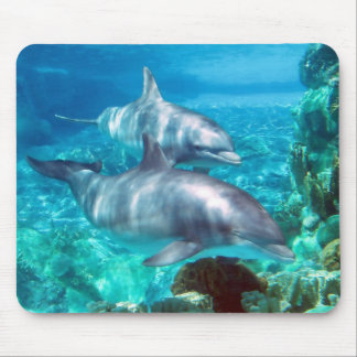 Delfin Mousepad Musmatta