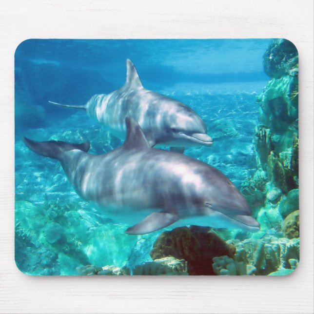 Delfin Mousepad Musmatta (Framsidan)