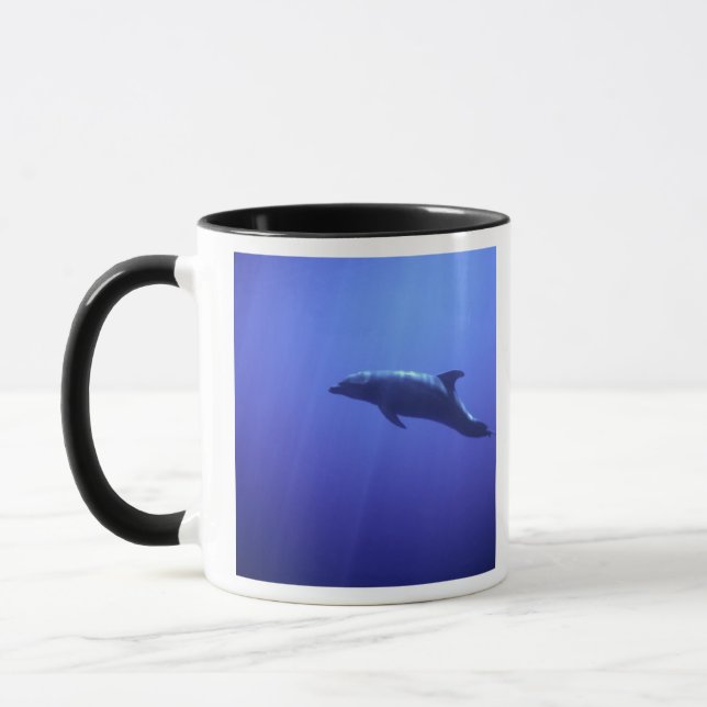 Delfin Mugg (Vänster)