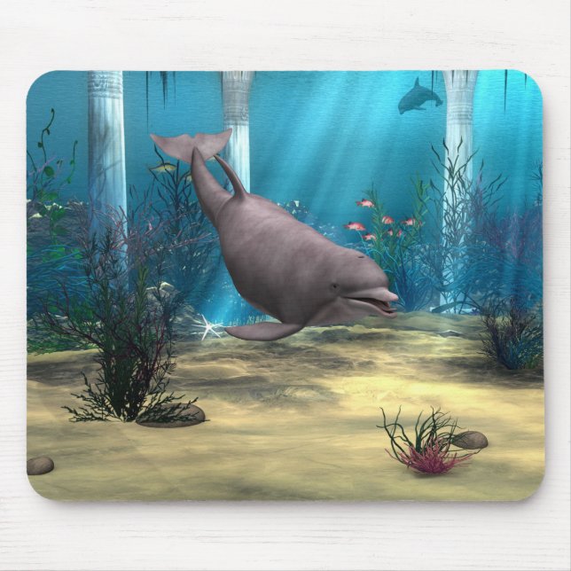 Delfin Musmatta (Framsidan)