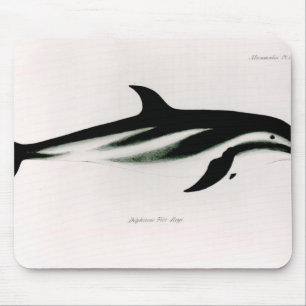 Delfin Musmatta