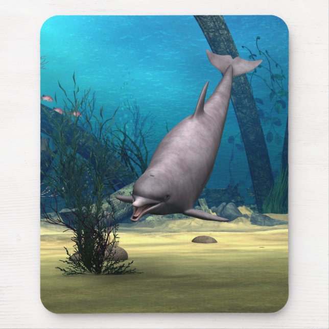 Delfin Musmatta (Framsidan)