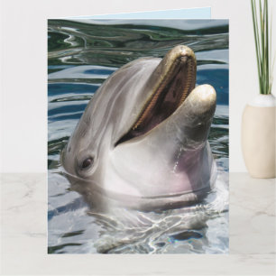 Delfin ÖVERSKADIG FÖDELSEDAGSKORT Kort