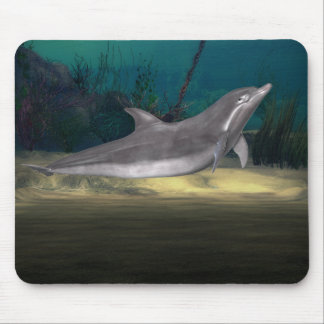 delfin på lek musmatta