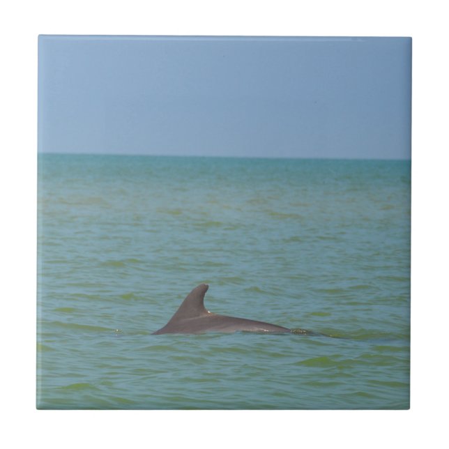 Delfin på Sanibel Kakelplatta (Framsidan)