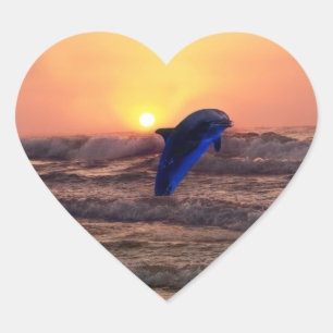 Delfin på solnedgången hjärtformat klistermärke