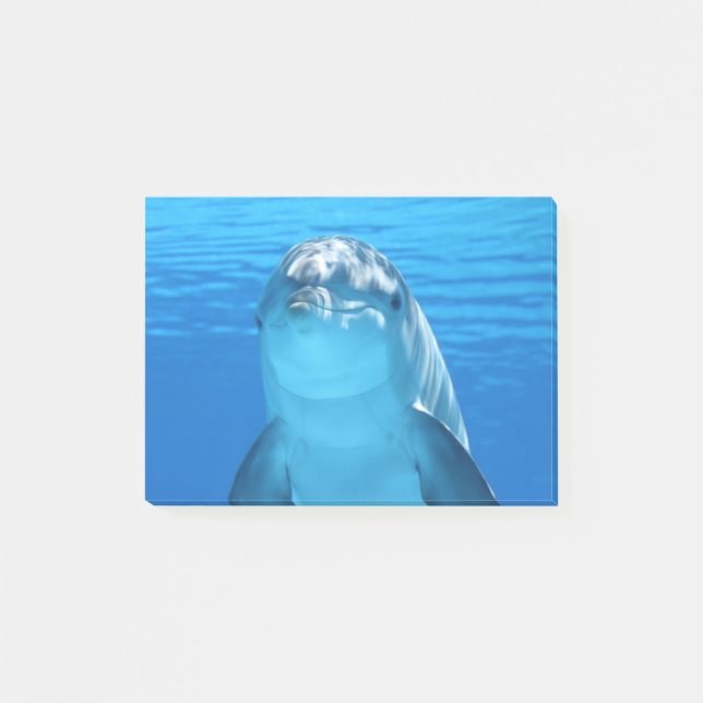 Delfin Post-it Block (Framsida)