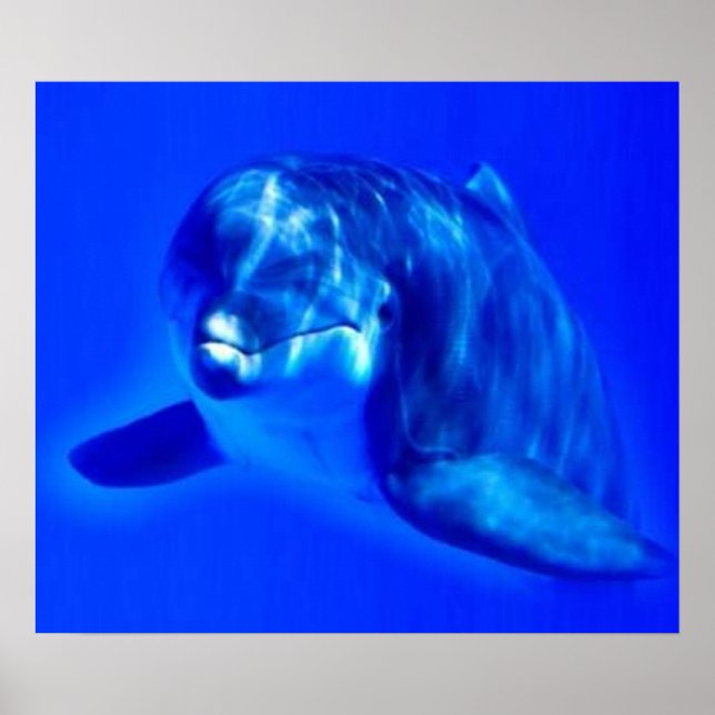 Delfin Poster (Framsidan)