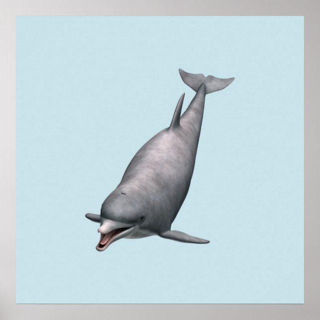 Delfin Poster (Framsidan)