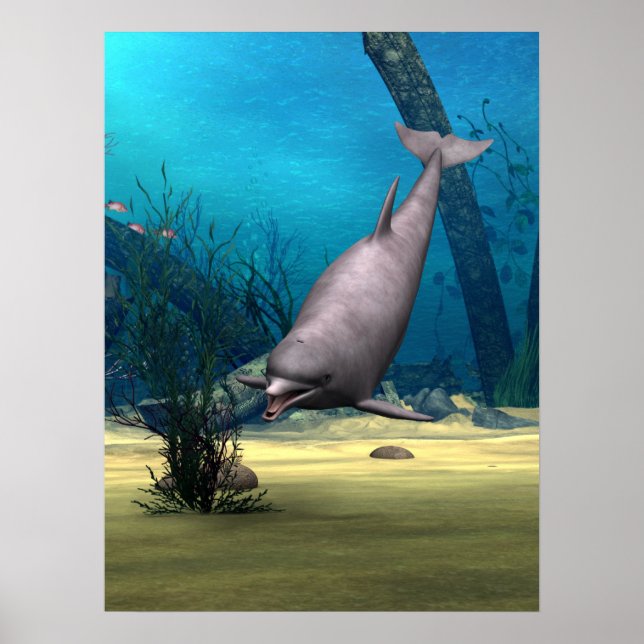 Delfin Poster (Framsidan)