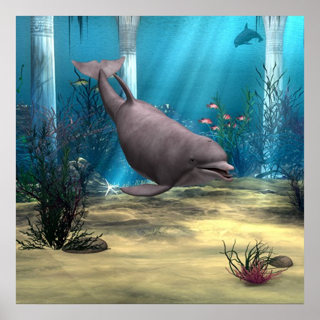 Delfin Poster (Framsidan)
