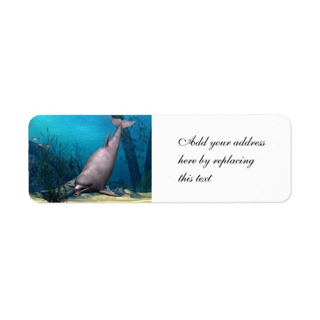 Delfin Returadress Etikett (Framsidan)