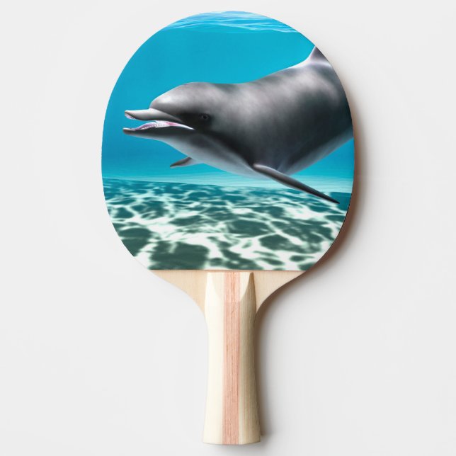Delfin som simmar under vattnet i turkos hav pingisracket (Framsidan)