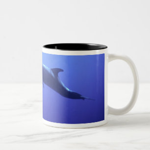 Delfin Två-Tonad Mugg