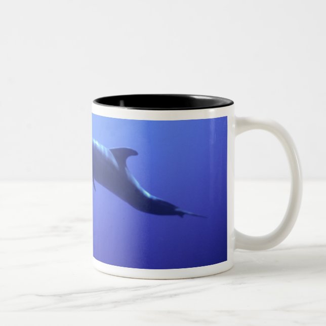 Delfin Två-Tonad Mugg (Höger)