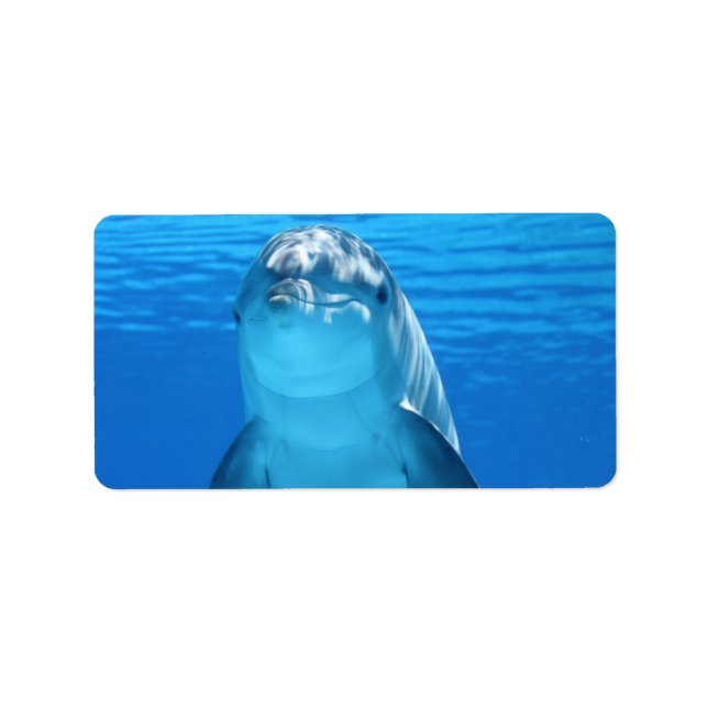 Delfin Vatten Strand Tropisk Paradis Ö Fisk Adressetikett (Framsidan)
