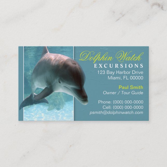 Delfin Visitenkort Visitkort (Framsida)