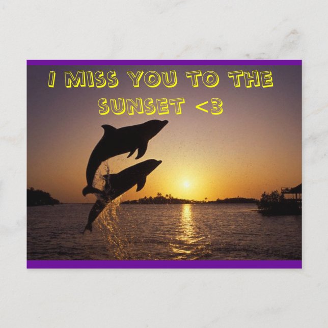 delfin vykort (Framsida)