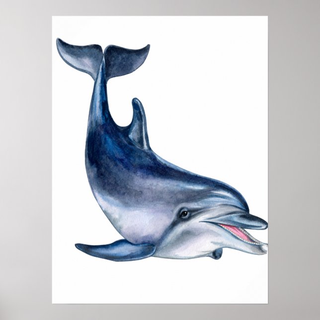 Delfinart Poster (Framsidan)