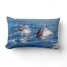 Delfinäventyr