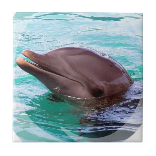 Delfindesignen belägger med tegel kakelplatta (Framsidan)