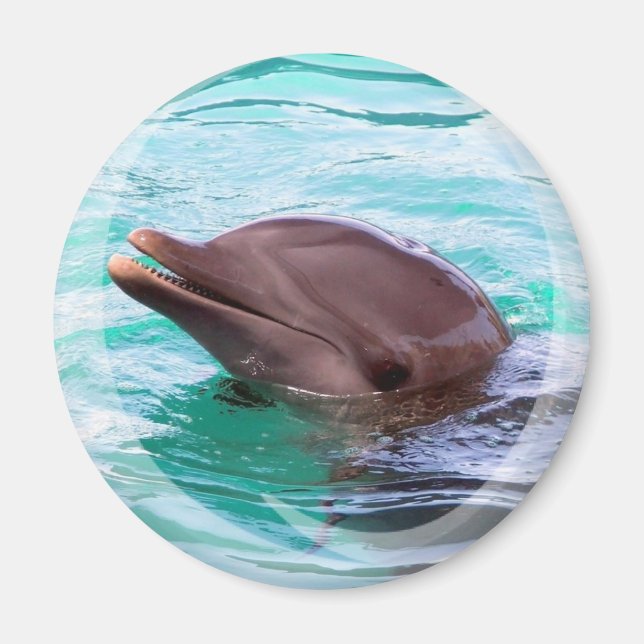 Delfindesignmagnet Magnet (Framsidan)