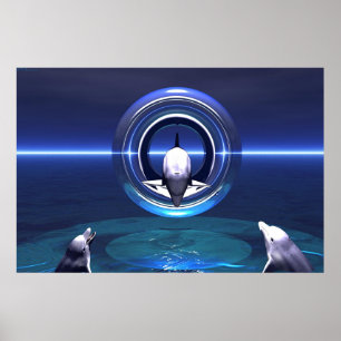 Delfindrömmar Poster