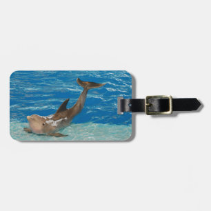 Delfinen poserar bagagebricka