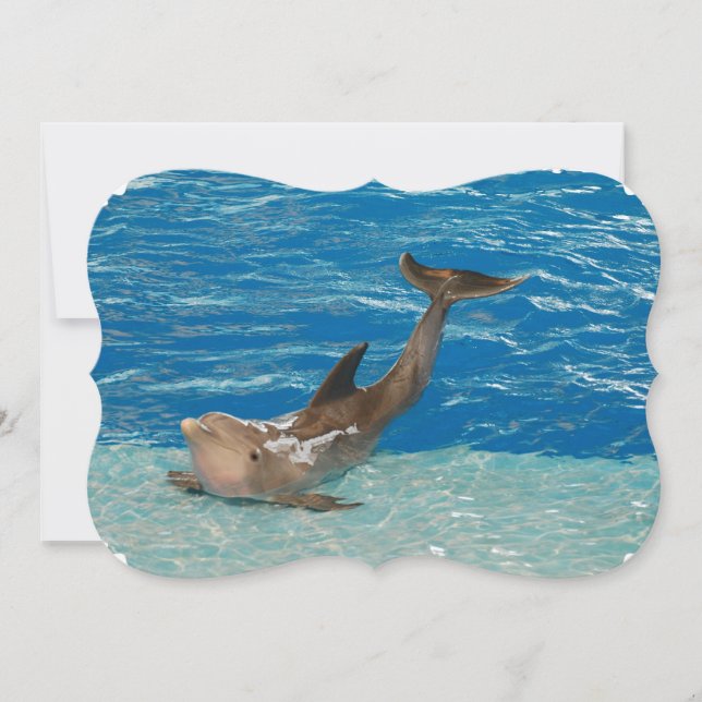 Delfinen poserar inbjudningar (Framsida)