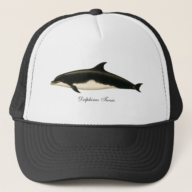 Delfiner Delphinus Tursio, Gamla Marina Djur Truckerkeps (Framsida)