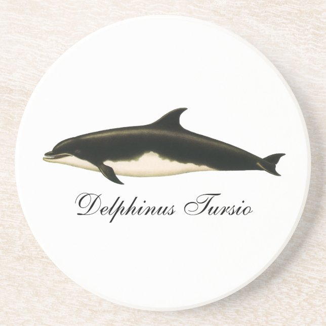 Delfiner Delphinus Tursio, Gamla Marina Djur Underlägg Sandsten (Framsidan)