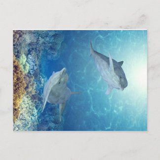 Delfiner från lycklig vykort