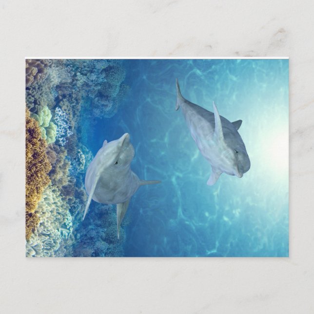 Delfiner från lycklig vykort (Framsida)