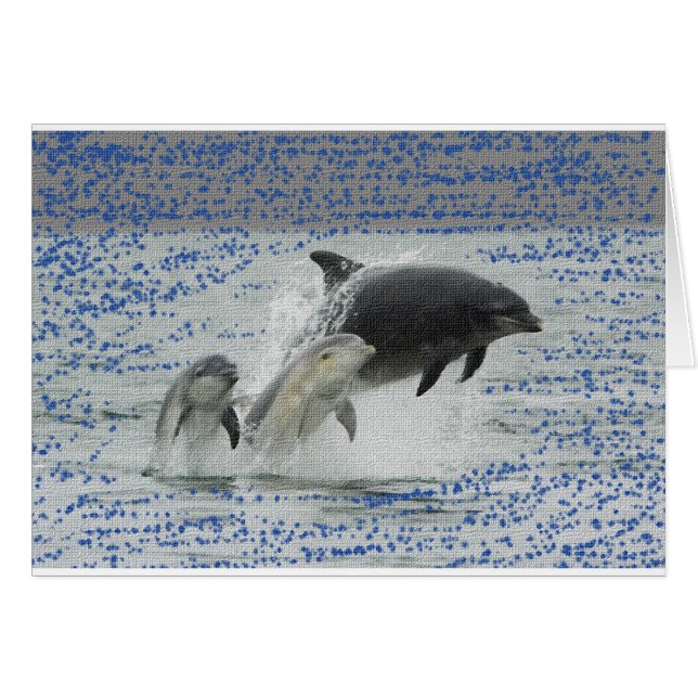 Delfiner Hälsningskort (Framsidan Horizontal)