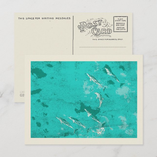 Delfiner i Karibiska havet Vykort (Fram/baksida)