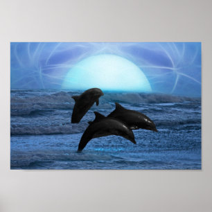 Delfiner i månljus poster