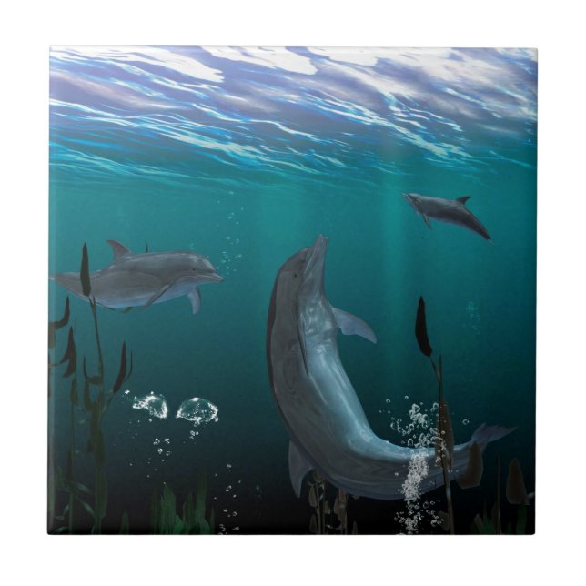 delfiner kakelplatta (Framsidan)