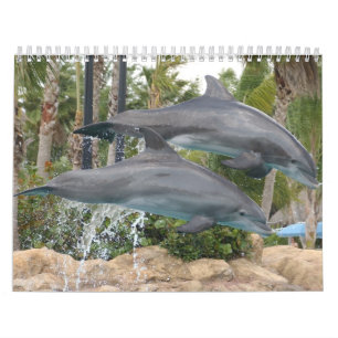 delfiner kalender