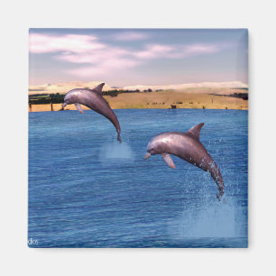 Delfiner Magnet