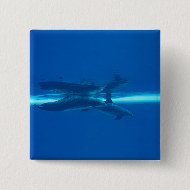 Delfiner och reflektioner knapp (Framsida)