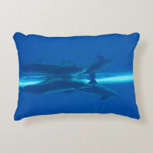 Delfiner och reflektioner