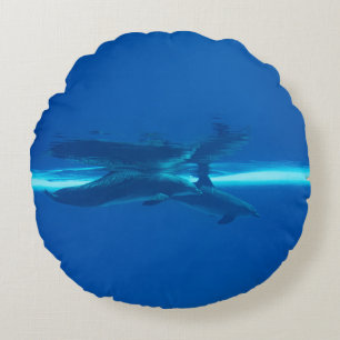 Delfiner och reflektioner rund kudde