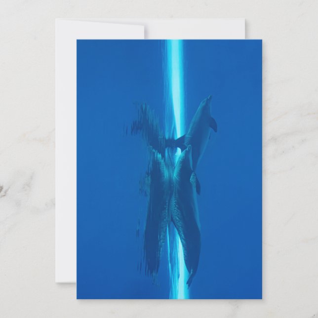 Delfiner och reflexer (blått hav vatten) inbjudningar (Framsida)