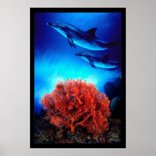 Delfiner över koraller poster (Framsidan)