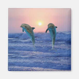 Delfiner på soluppgången magnet