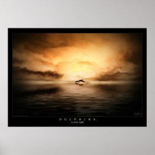 Delfiner Poster