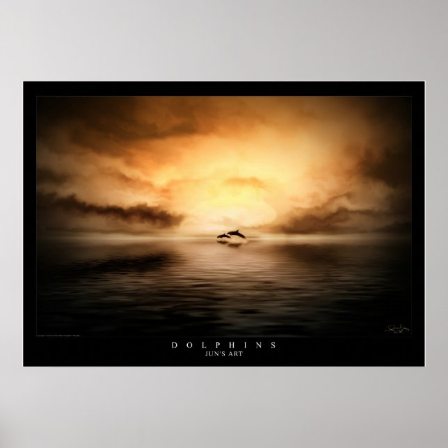 Delfiner Poster (Framsidan)