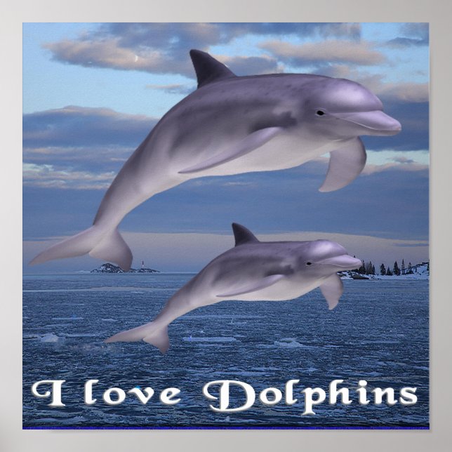 delfiner poster (Framsidan)