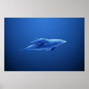 Delfiner Poster