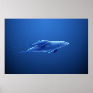 Delfiner Poster